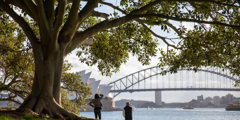 Royal botanic gardens Sydney